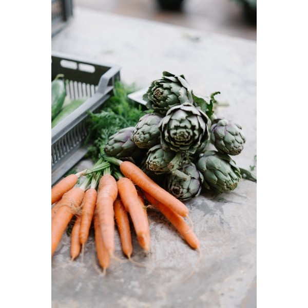 Carrot - Organically Grown